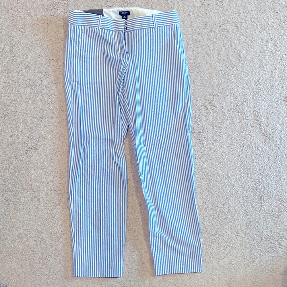 JCrew Skimmer Pant